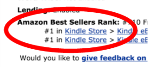 leighstjohn-amazon-best-seller