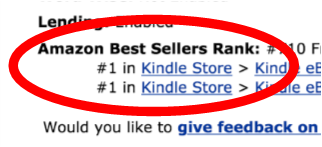 leighstjohn-amazon-best-seller